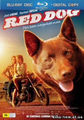Смотреть онлайн Рыжий пес / Red Dog (2011)